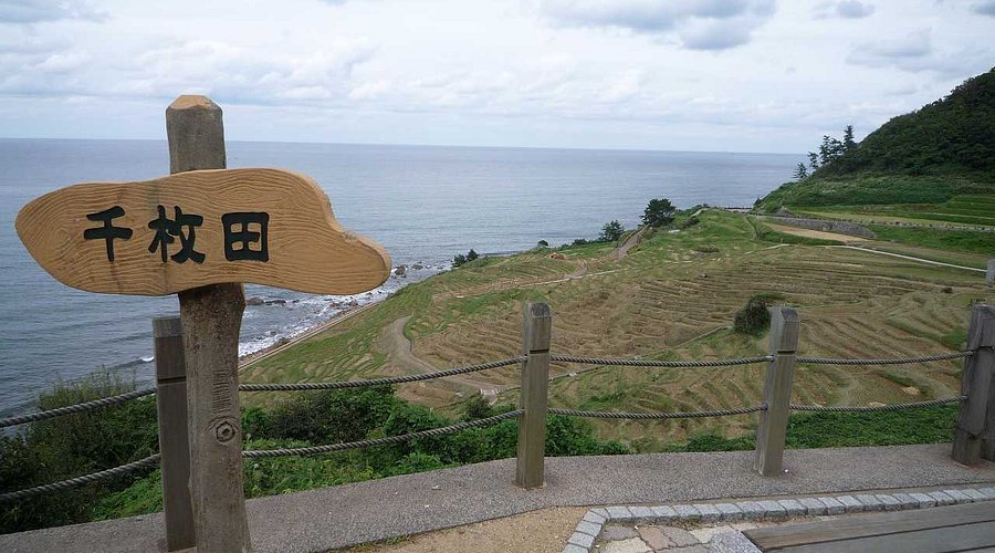 🏞️ 길의 휴게소 센마이다 포켓 파크(미치노에키 센마이다 포켓토 파쿠) 이미지 6